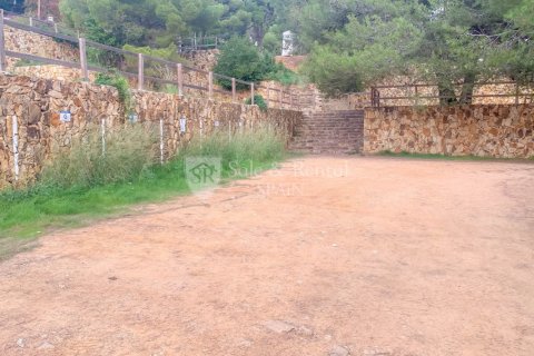 Купить квартиру в Тосса-де-Мар, Испания с 2 спальни, 60м², № 6717 - фото 20