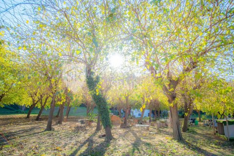 Сasa de 4 dormitorios en venta en Sant Pol de Mar, Barcelona, Cataluña, Spain № 6716 - foto 25