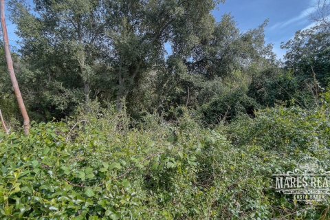 1076 sq.m. land plot for sale in Lloret de Mar, Girona, Catalonia, Spain № 995 - photo 6