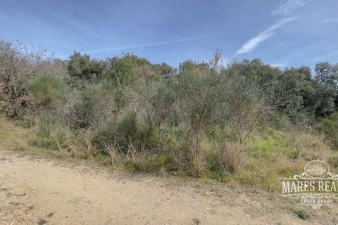 1076 sq.m. land plot for sale in Lloret de Mar, Girona, Catalonia, Spain № 995 - photo 2