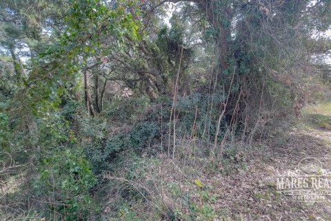 1076 sq.m. land plot for sale in Lloret de Mar, Girona, Catalonia, Spain № 995 - photo 4