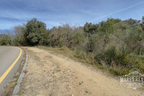 1076 sq.m. land plot for sale in Lloret de Mar, Girona, Catalonia, Spain № 995