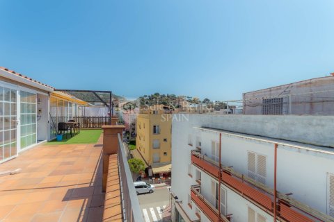 9 bedrooms apartment for sale in Tossa de Mar, Girona, Catalonia, Spain № 6732 - photo 13