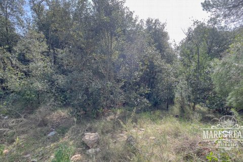 1450 sq.m. land plot for sale in Lloret de Mar, Girona, Catalonia, Spain № 987