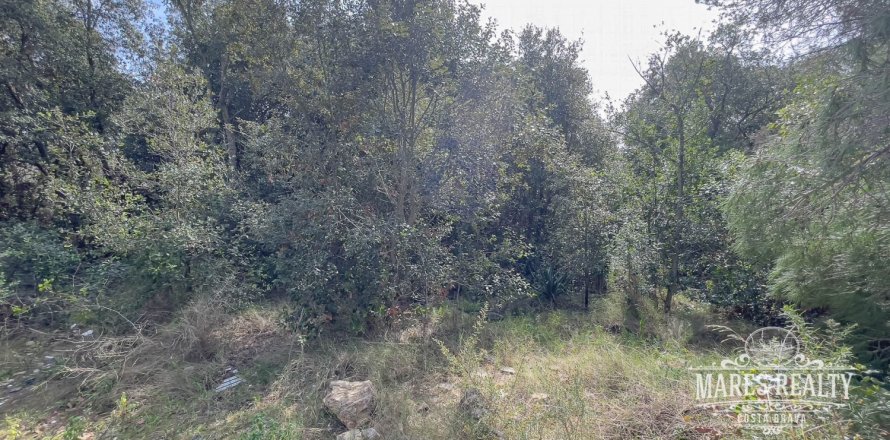 1450 sq.m. land plot for sale in Lloret de Mar, Girona, Catalonia, Spain № 987