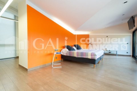 5 bedrooms villa for sale in Principado De Andorra (Ninguna Poblacion Tiene C.P.), Lleida, Catalonia, Spain № 6022 - photo 8