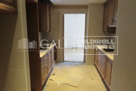 Сasa de 4 dormitorios en venta en Principado De Andorra (Ninguna Poblacion Tiene C.P.), Lérida, Cataluña, Spain № 6020 - foto 21