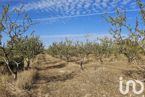 commercial property for sale in Gandesa, Tarragona, Catalonia, Spain № 4791 - photo 5