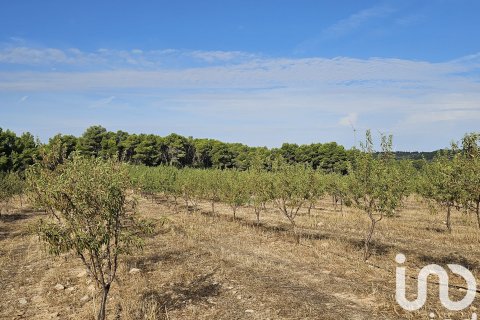 commercial property for sale in Gandesa, Tarragona, Catalonia, Spain № 4791 - photo 7