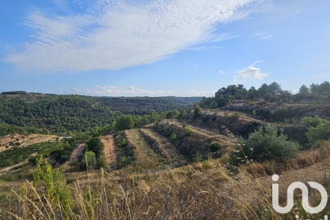 commercial property for sale in Gandesa, Tarragona, Catalonia, Spain № 4791 - photo 8