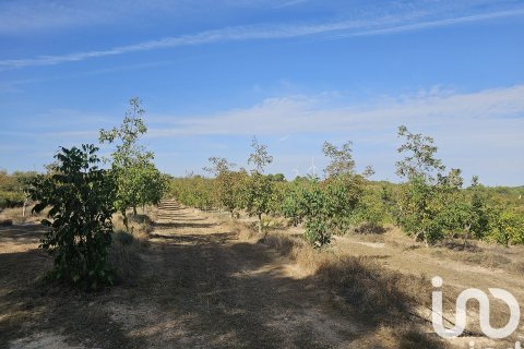 commercial property for sale in Gandesa, Tarragona, Catalonia, Spain № 4791 - photo 9