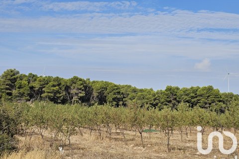 commercial property for sale in Gandesa, Tarragona, Catalonia, Spain № 4791 - photo 3