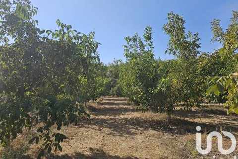 commercial property for sale in Gandesa, Tarragona, Catalonia, Spain № 4791 - photo 16