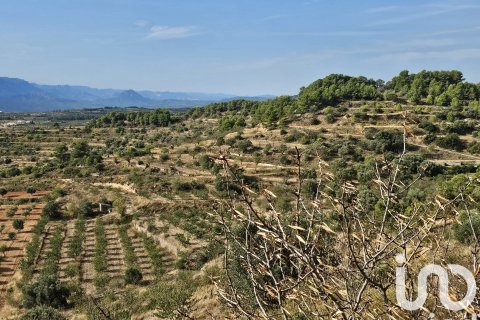 commercial property for sale in Gandesa, Tarragona, Catalonia, Spain № 4791 - photo 10
