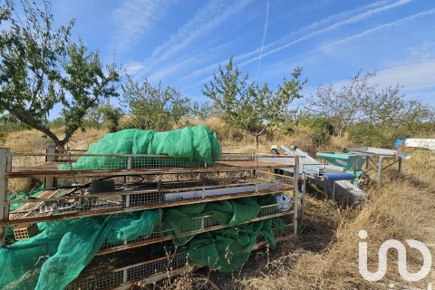 commercial property for sale in Gandesa, Tarragona, Catalonia, Spain № 4791 - photo 28