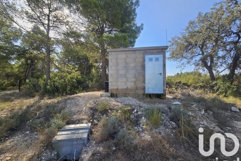 commercial property for sale in Gandesa, Tarragona, Catalonia, Spain № 4791 - photo 13