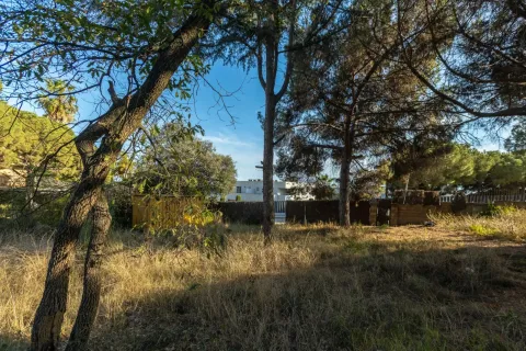 land plot for sale in Mataro, Barcelona, Catalonia, Spain № 1746 - photo 5
