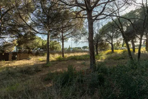 land plot for sale in Mataro, Barcelona, Catalonia, Spain № 1746 - photo 6