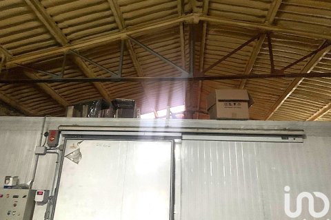 598 sq.m. commercial property for rent in El Vendrell, Tarragona, Catalonia, Spain № 5135 - photo 14