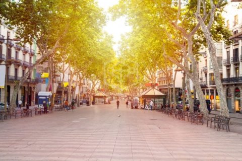 956 sq.m. commercial property for sale in Barcelona, Catalonia, Spain № 911