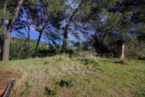 2000 sq.m. land plot for sale in Cerdanyola Del Valles, Barcelona, Catalonia, Spain № 7970 - photo 18