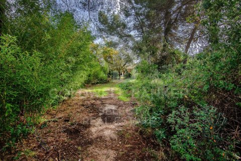 2000 sq.m. land plot for sale in Cerdanyola Del Valles, Barcelona, Catalonia, Spain № 7970 - photo 12