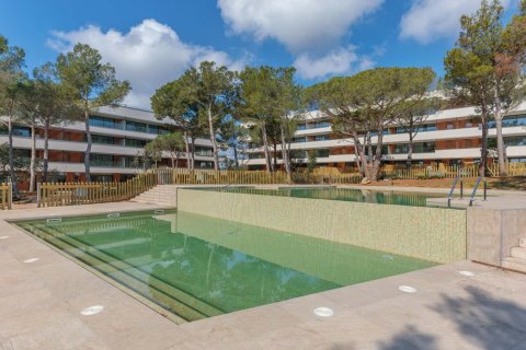Cala S’Alguer in Palamos № 328