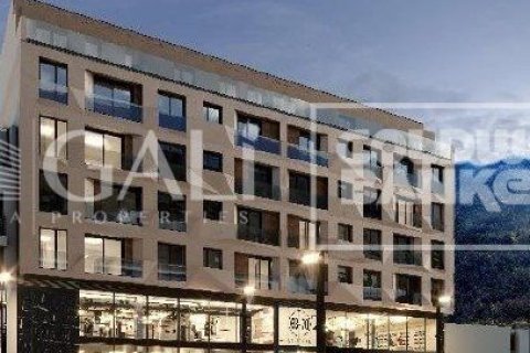 362 sq.m. commercial property for rent in Principado De Andorra (Ninguna Poblacion Tiene C.P.), Lleida, Catalonia, Spain № 7687