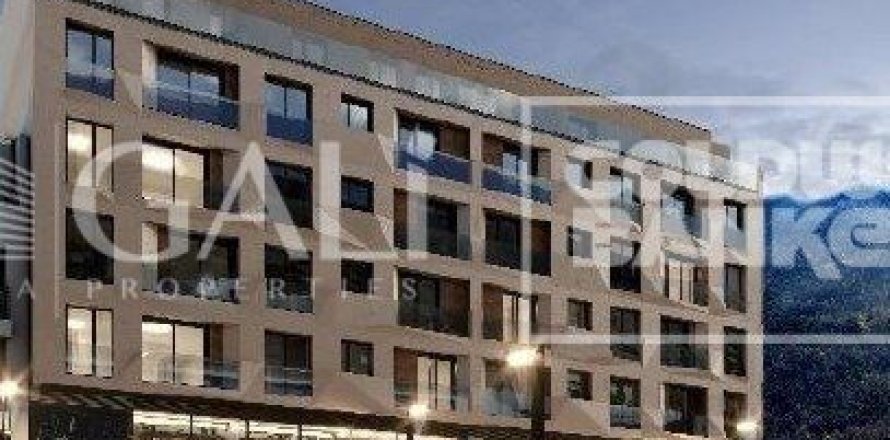 Propiedad comercial de 362 m² en alquiler en Principado De Andorra (Ninguna Poblacion Tiene C.P.), Lérida, Cataluña, Spain № 7687
