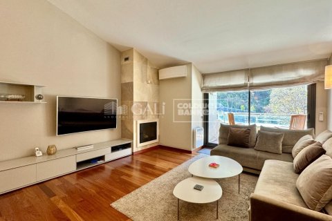 3 bedrooms penthouse for rent in Principado De Andorra (Ninguna Poblacion Tiene C.P.), Lleida, Catalonia, Spain № 7995