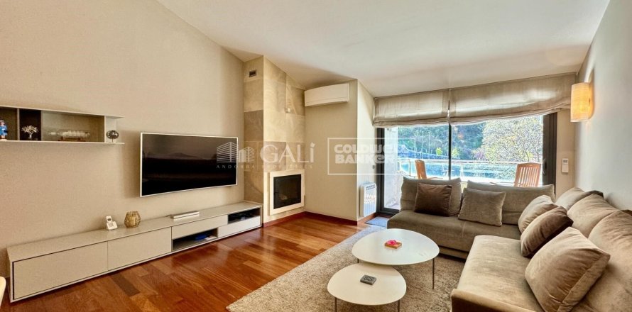 Ático de 3 dormitorios en alquiler en Principado De Andorra (Ninguna Poblacion Tiene C.P.), Lérida, Cataluña, Spain № 7995