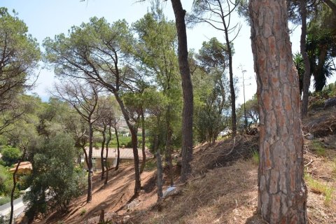 land plot for sale in Premia De Dalt, Barcelona, Catalonia, Spain № 3630 - photo 9