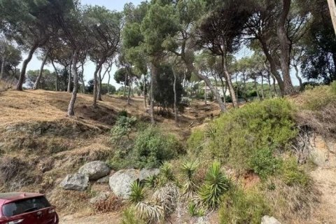 land plot for sale in Premia De Dalt, Barcelona, Catalonia, Spain № 3630 - photo 4