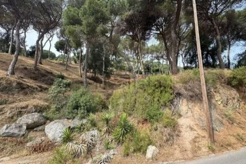 land plot for sale in Premia De Dalt, Barcelona, Catalonia, Spain № 3630 - photo 3