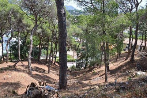 land plot for sale in Premia De Dalt, Barcelona, Catalonia, Spain № 3630 - photo 8