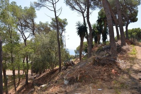 land plot for sale in Premia De Dalt, Barcelona, Catalonia, Spain № 3630 - photo 6