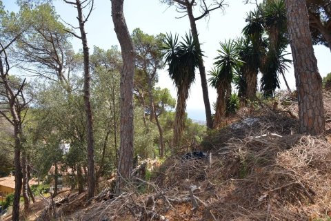 land plot for sale in Premia De Dalt, Barcelona, Catalonia, Spain № 3630