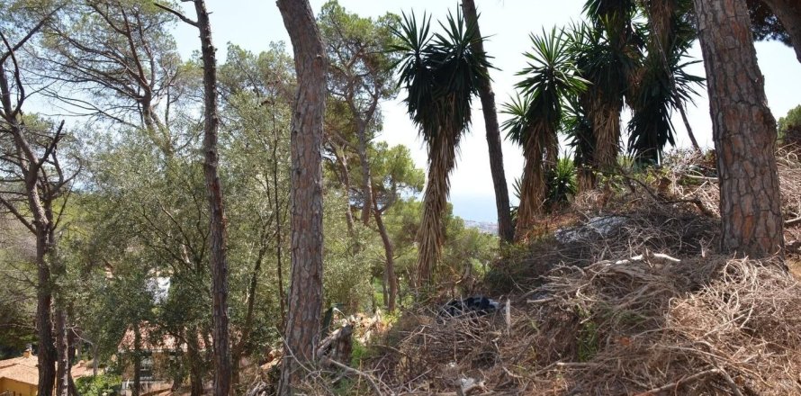 land plot for sale in Premia De Dalt, Barcelona, Catalonia, Spain № 3630