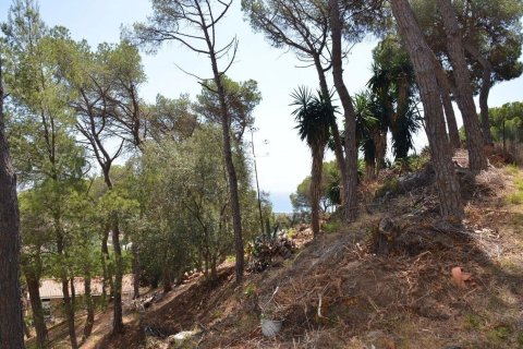 land plot for sale in Premia De Dalt, Barcelona, Catalonia, Spain № 3630 - photo 10