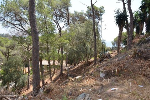 land plot for sale in Premia De Dalt, Barcelona, Catalonia, Spain № 3630 - photo 5