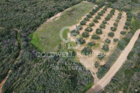 Купить земельный участок в Гарригас, Испания 1300000м², № 5754 - фото 2