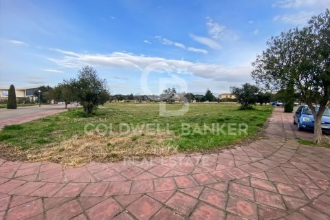 5728 sq.m. land plot for sale in Peralada, Girona, Catalonia, Spain № 5766 - photo 12