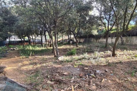 land plot for sale in Sant Cugat Del Valles, Barcelona, Catalonia, Spain № 1328 - photo 14