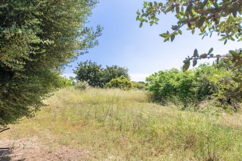 land plot for sale in Sant Vicenc De Montalt, Barcelona, Catalonia, Spain № 1327 - photo 4