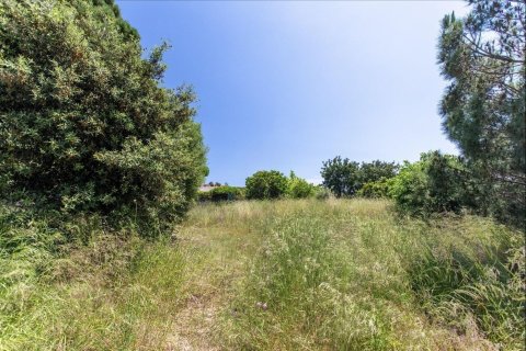 land plot for sale in Sant Vicenc De Montalt, Barcelona, Catalonia, Spain № 1327