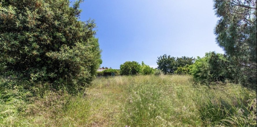 land plot for sale in Sant Vicenc De Montalt, Barcelona, Catalonia, Spain № 1327