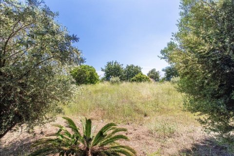 land plot for sale in Sant Vicenc De Montalt, Barcelona, Catalonia, Spain № 1327 - photo 6