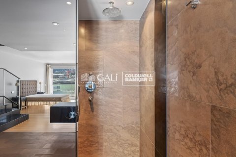 Ático de 3 dormitorios en venta en Principado De Andorra (Ninguna Poblacion Tiene C.P.), Lérida, Cataluña, Spain № 5251 - foto 18