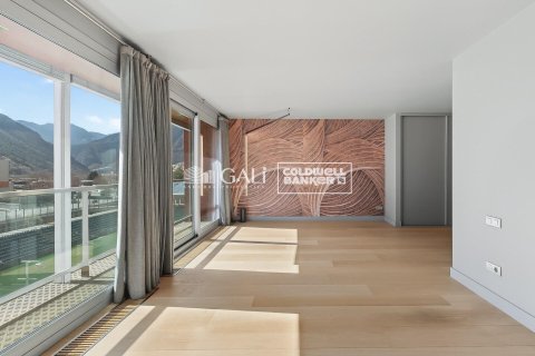 Ático de 3 dormitorios en venta en Principado De Andorra (Ninguna Poblacion Tiene C.P.), Lérida, Cataluña, Spain № 5251 - foto 13
