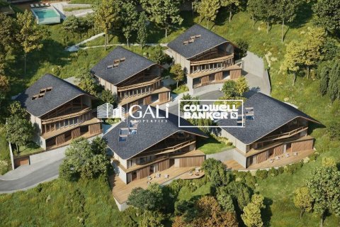 Villa de 6 dormitorios en venta en Principado De Andorra (Ninguna Poblacion Tiene C.P.), Lérida, Cataluña, Spain № 5896 - foto 19